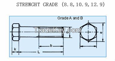 Bolt DIN931 & DIN933 & DIN7990