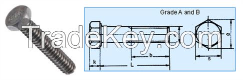 Metric Bolt