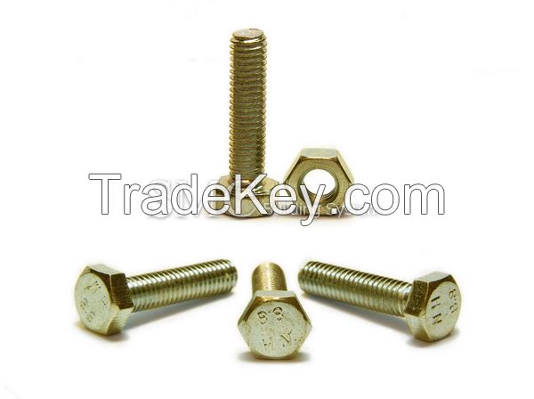 Titanium Bolt