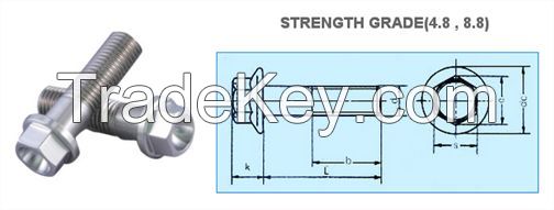 Flange Bolt