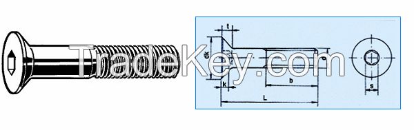 Titanium Bolt