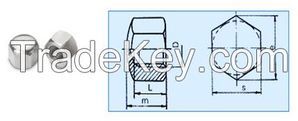 Stainless Steel Nut