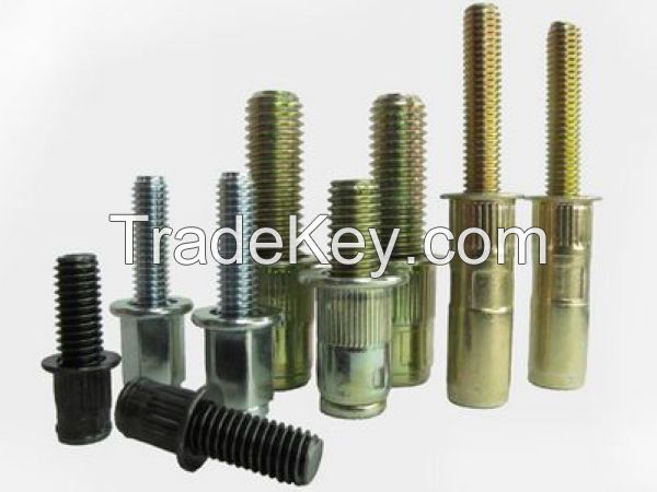 Rivet Bolts