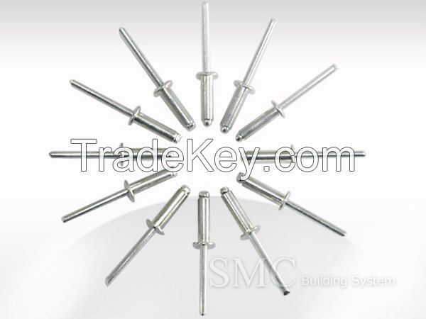 Aluminum Rivet