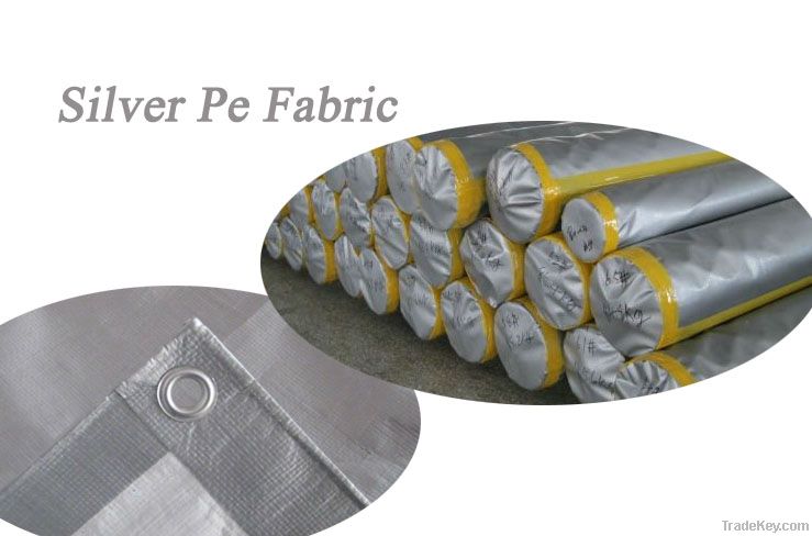 Double Silver Pe Tarpaulin Sheet for Cover