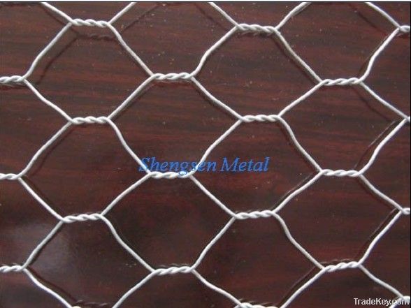 hexagonal/chicken wire mesh