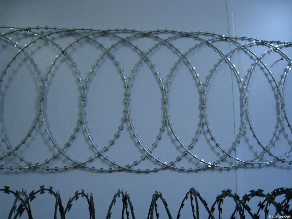 Razor Barbed Wire Mesh