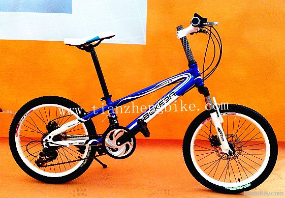 Freestyle bicycle