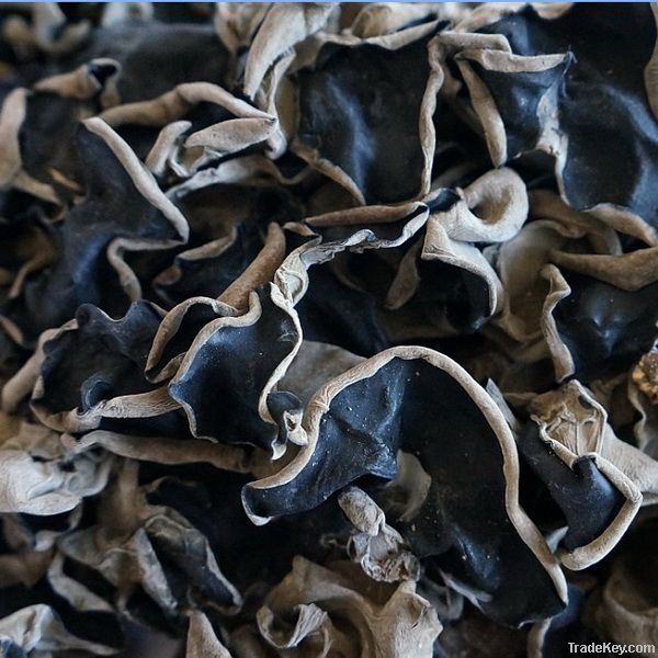 Dried black fungus on sale