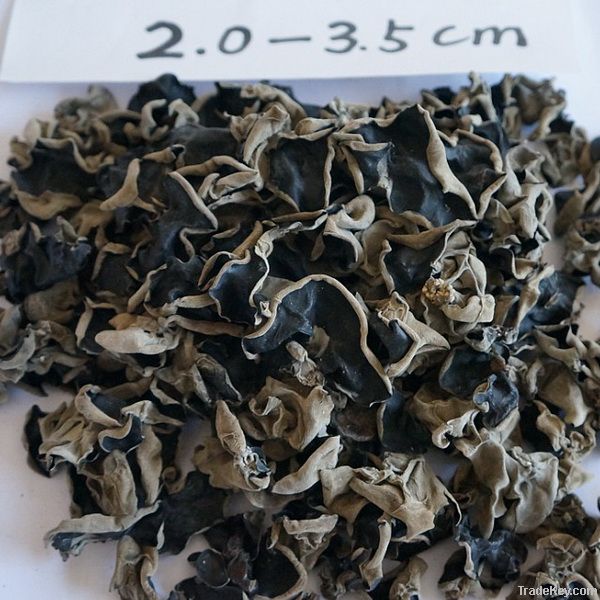 Dried black fungus on sale