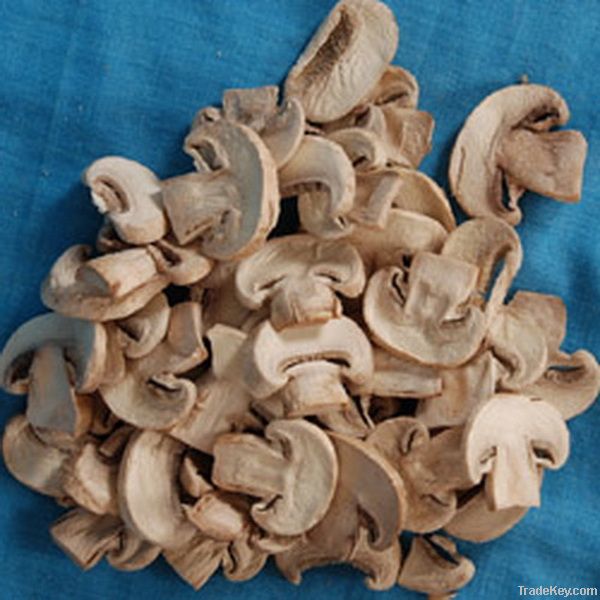 Dried champignon mushroom on sale