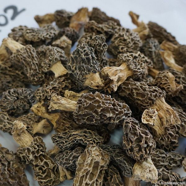 Dried morel morchella mushroom