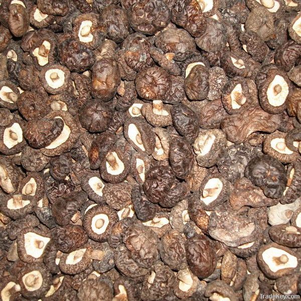 Dried shiitake mushroom, OEM available