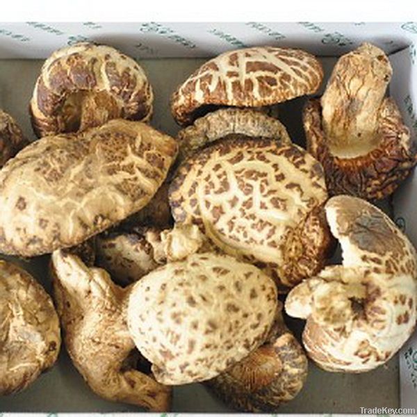 Dried shiitake mushroom, OEM available