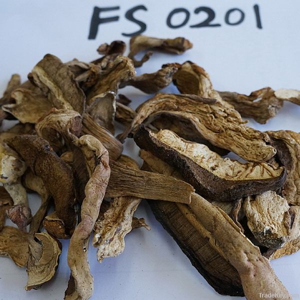 Wild dried porcini edulis on sale