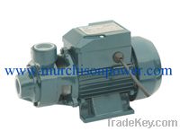 QB-60 electric water pump