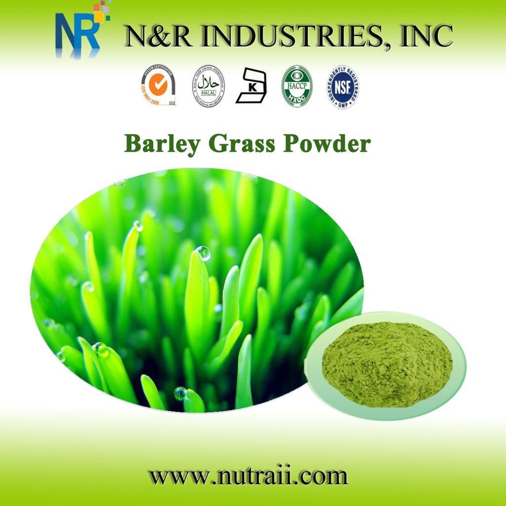 barley grass powder