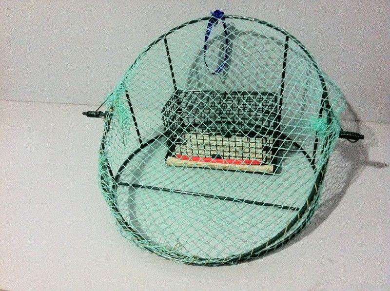 bird trap