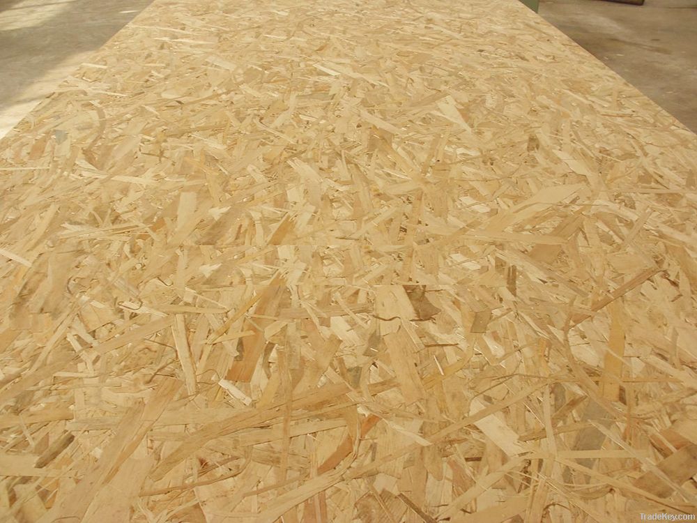 Oriented Strand Board Plywood