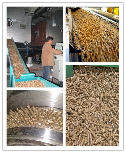 biomass energy pine wood pellets for sale