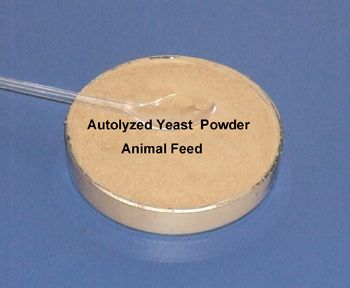 Yeast protein polypeptides for animal feed