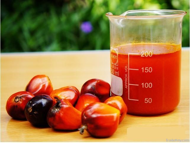 Crude Palm Oil (CPO)