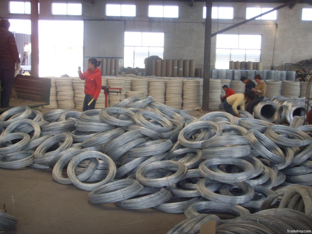 Hot Dipped Galvanized metal wire