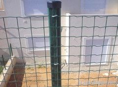 holand wire mesh fence, peached-shaped fence/wire mesh fence supplier