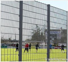 holand wire mesh fence, peached-shaped fence/wire mesh fence supplier