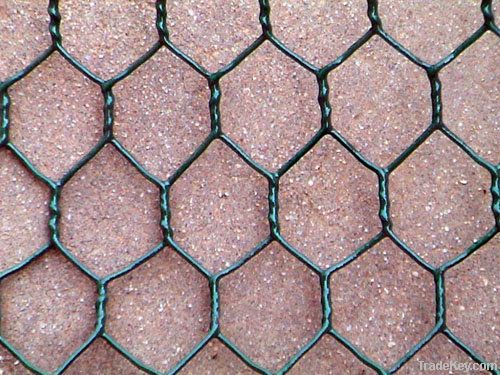 hexagonal wire netting