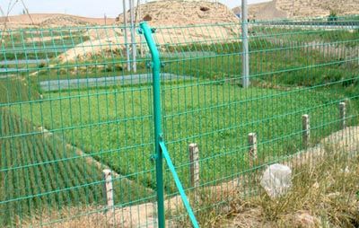 Welded wire mesh fence(Professinal manufacture)