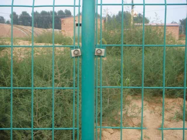 Durable green welded wire mesh fence,double wire nesh fence