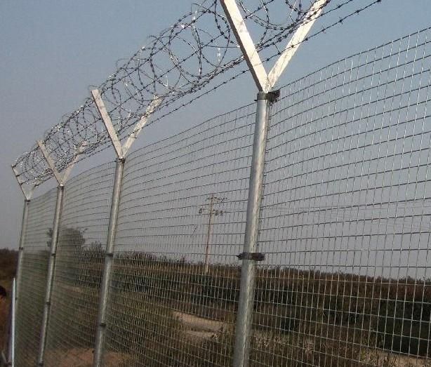 galvanized  razor barbed wire mesh fence 