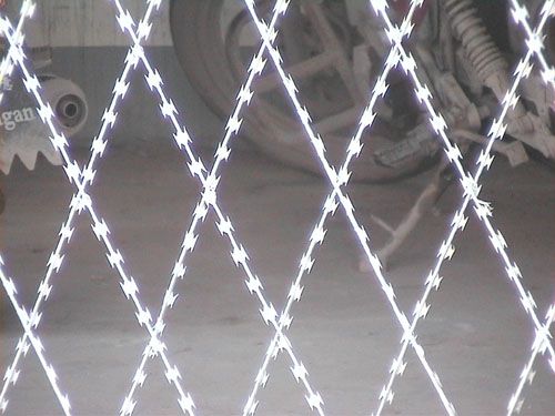 galvanized rozar barbed  wire