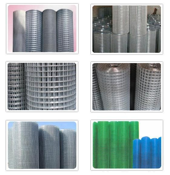 Wipe the wall with a welded wire mesh,Galvanized iron Wipe the wall network