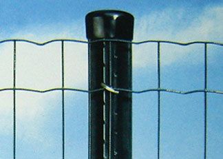 Holland wire mesh Euro Fence (ISO & Manufacturer)