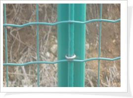 Plastic Holland wire mesh fence, pvc coated holland wire mesh fence