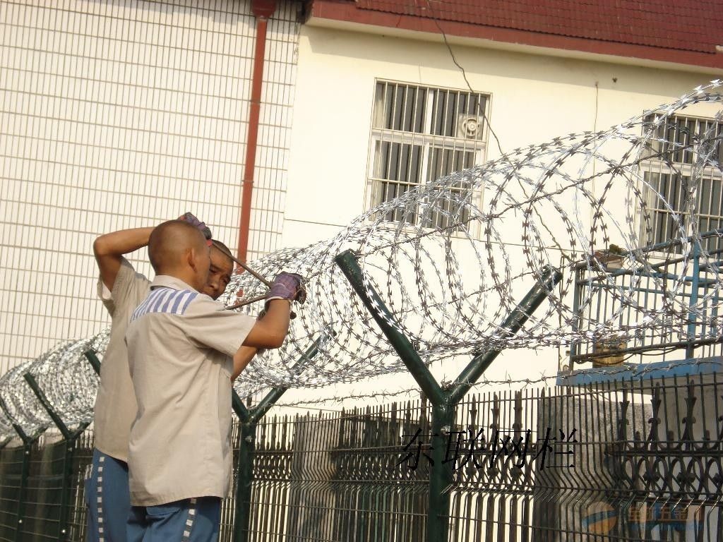 CBT 65 concertina wire single coil,Concertina Coils , razor barbed wire