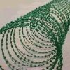 PVC Coated Barbed Wire 