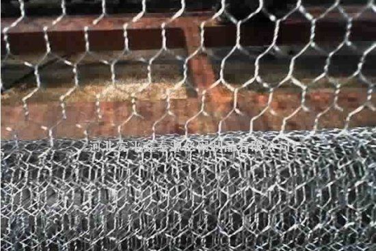 PVC coated/electro dipped hexagonal wire mesh