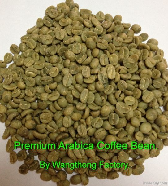 Arabica coffee bean.