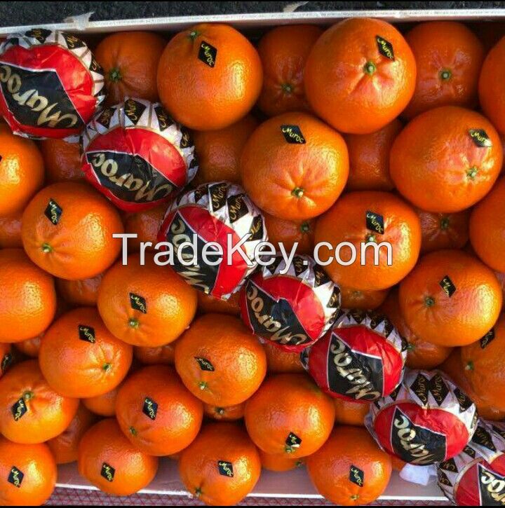 Clementines (mandarin hybrid )
