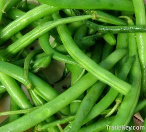 Fresh Green Beans