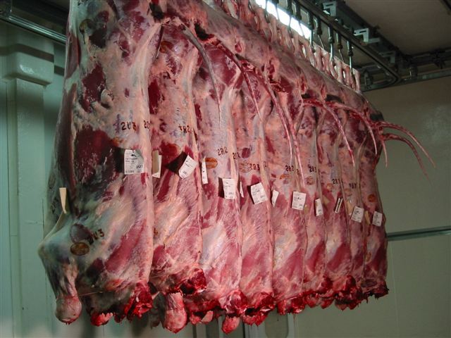 Frozen Beef meat, frozen cow meat or Ox meat
