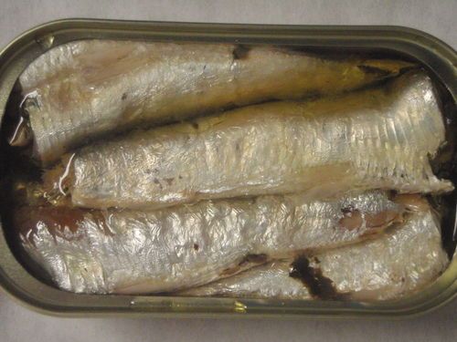 Canned Sardines in Oil