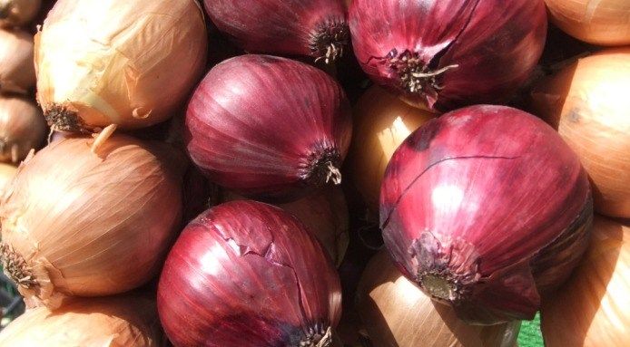 Fresh Farm Onions