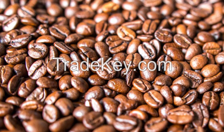 Green Arabic Coffee Beans For Hot Sale