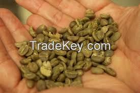 Green Arabic Coffee Beans For Hot Sale