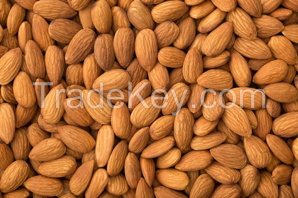 Grade A Almond Nuts