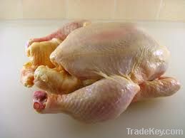 frozen whole halal chicken